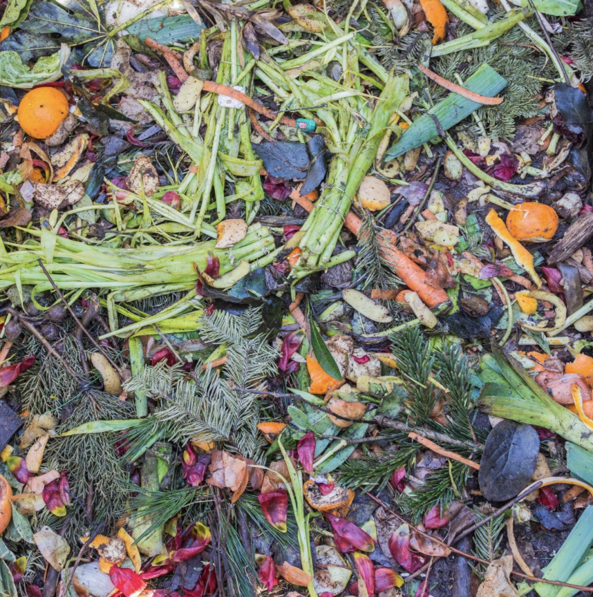 Close-up of organic compost materials including vegetable peels, fruit scraps, and garden clippings used to enrich soil and promote healthy landscape growth.