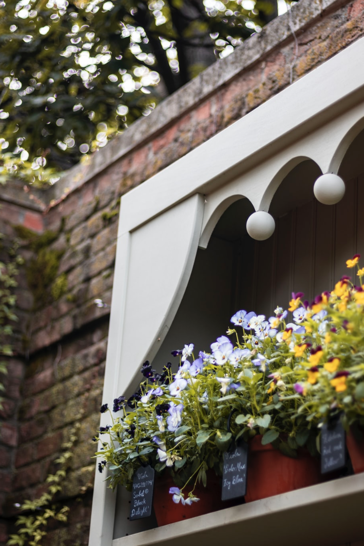 Colorful potted flowers in a charming window box against a brick wall, showcasing vibrant blooms and creative summer garden design inspiration.