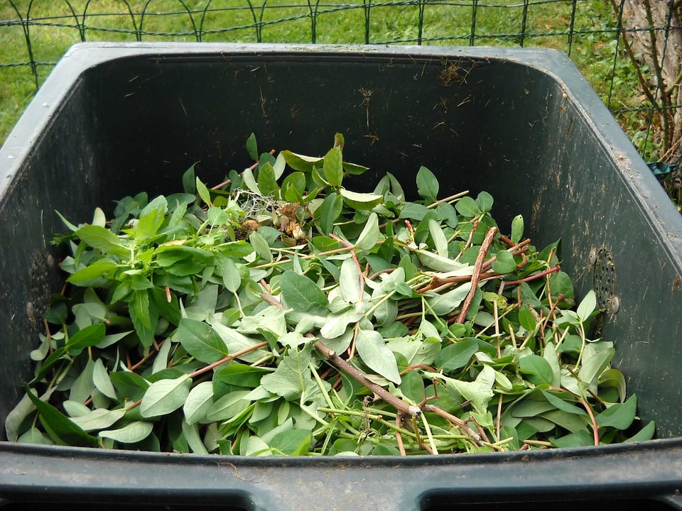 A garden compost bin filled with freshly cut green leaves and plant trimmings, showing an eco-friendly way to recycle yard waste into nutrient-rich compost.