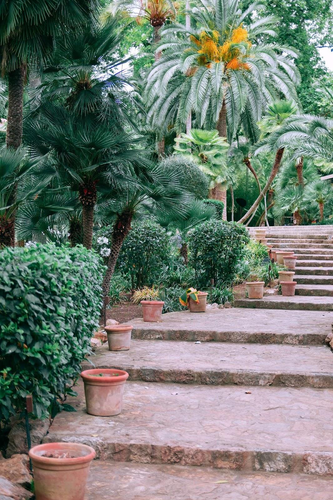 Stone garden pathway lined with terracotta pots and surrounded by lush palm trees, tropical plants, and vibrant greenery in a serene outdoor setting.