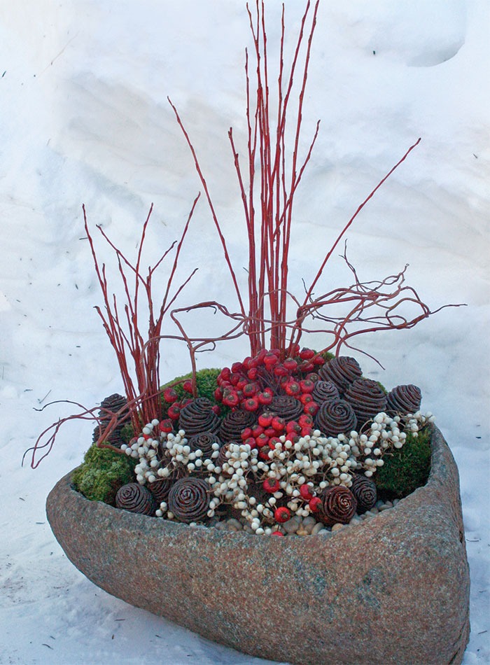 https://images.finegardening.com/app/uploads/2014/04/03164328/FG-winter-containers-3.jpg?utm_source=chatgpt.com