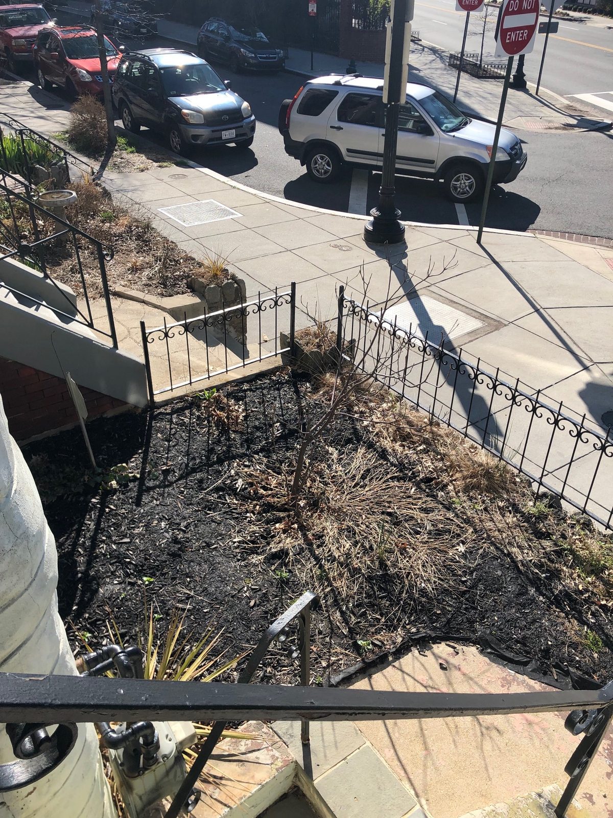 iScape city garden landscape makeover