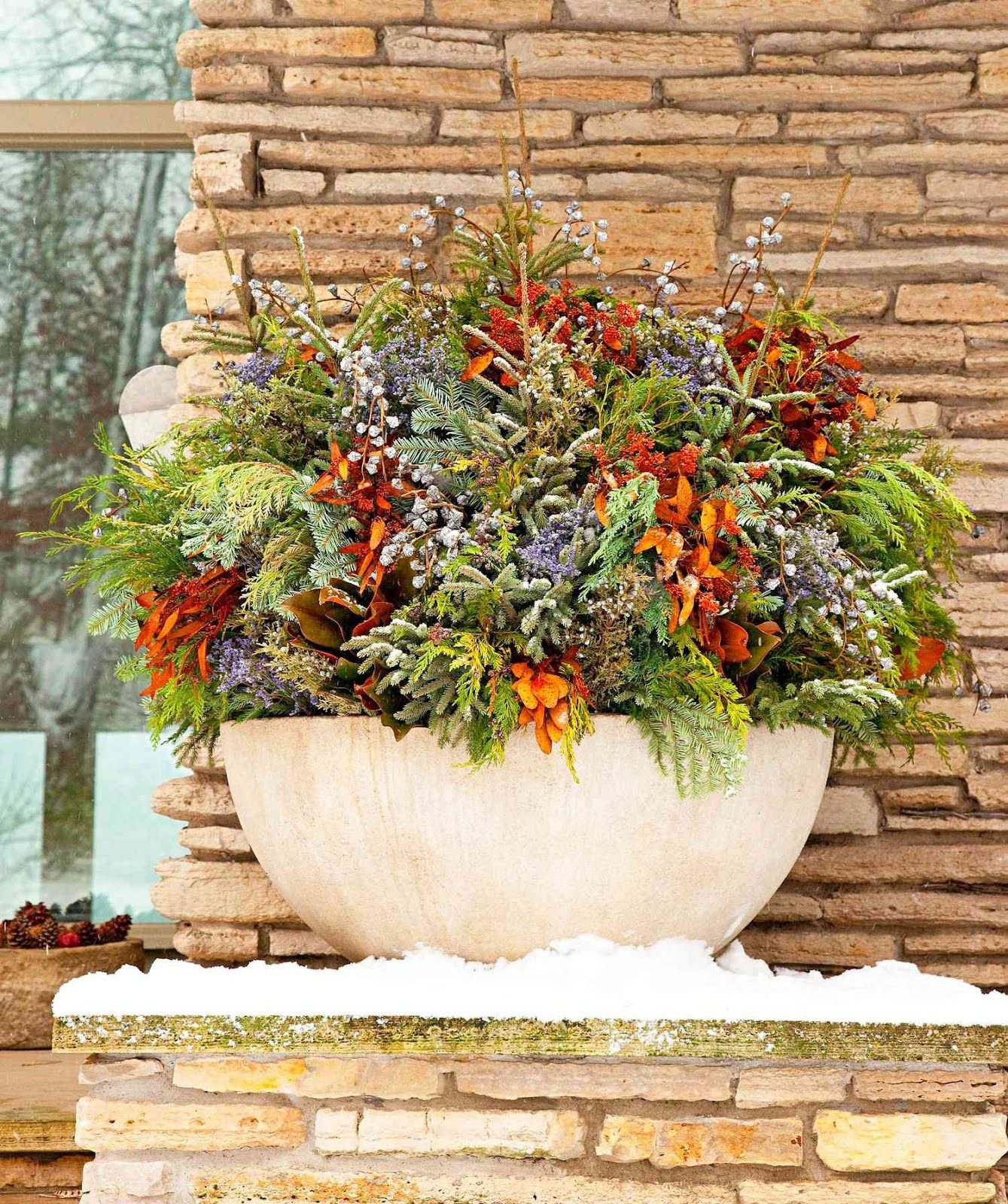https://www.midwestliving.com/thmb/8T51uMtvf5LzdLdkF_EmaXjneQE%3D/1500x0/filters%3Ano_upscale%28%29%3Amax_bytes%28150000%29%3Astrip_icc%28%29/101551719v1-3a47be2dc68e4b57b5508eb38f661c43.jpg?utm_source=chatgpt.com