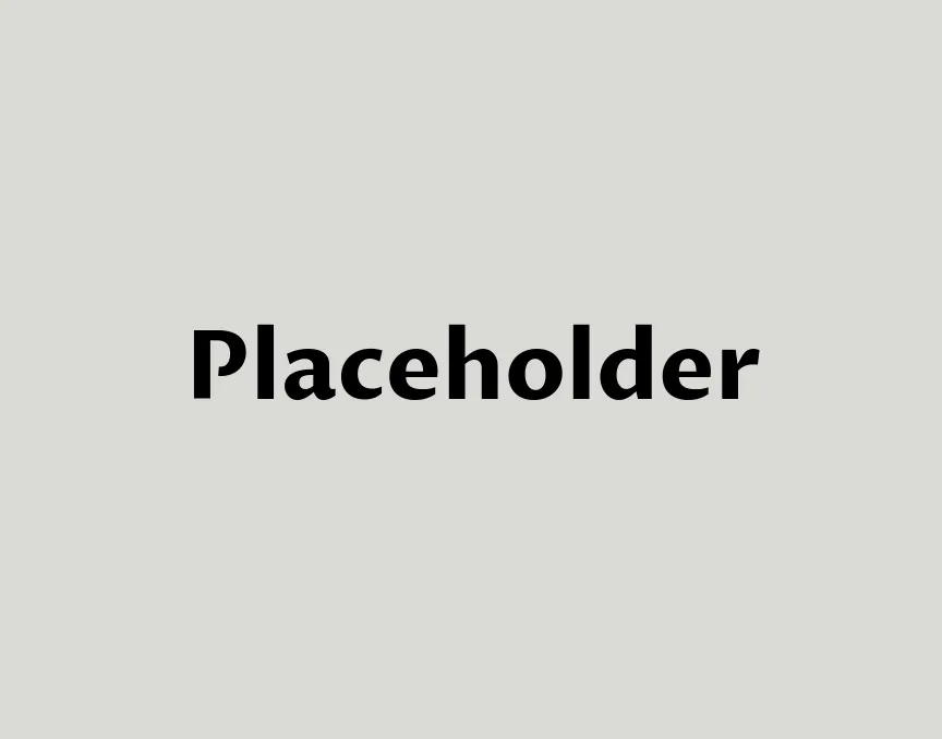 Gray background with the word 'Placeholder' in bold black text centered.