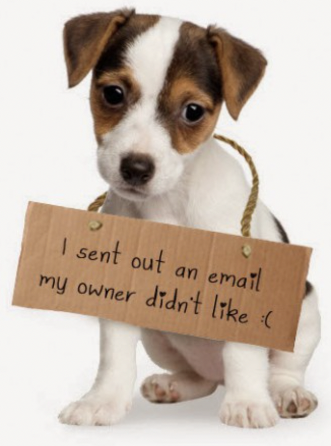 Sorry this email wasn't to your alley