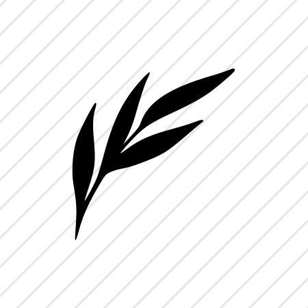 SVG Vector Illustration Money