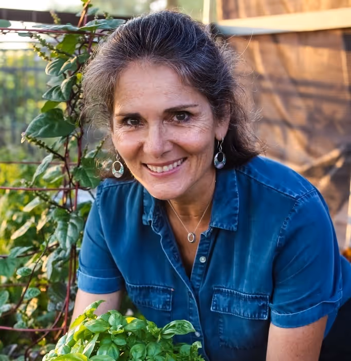 stephen-de-diego-review