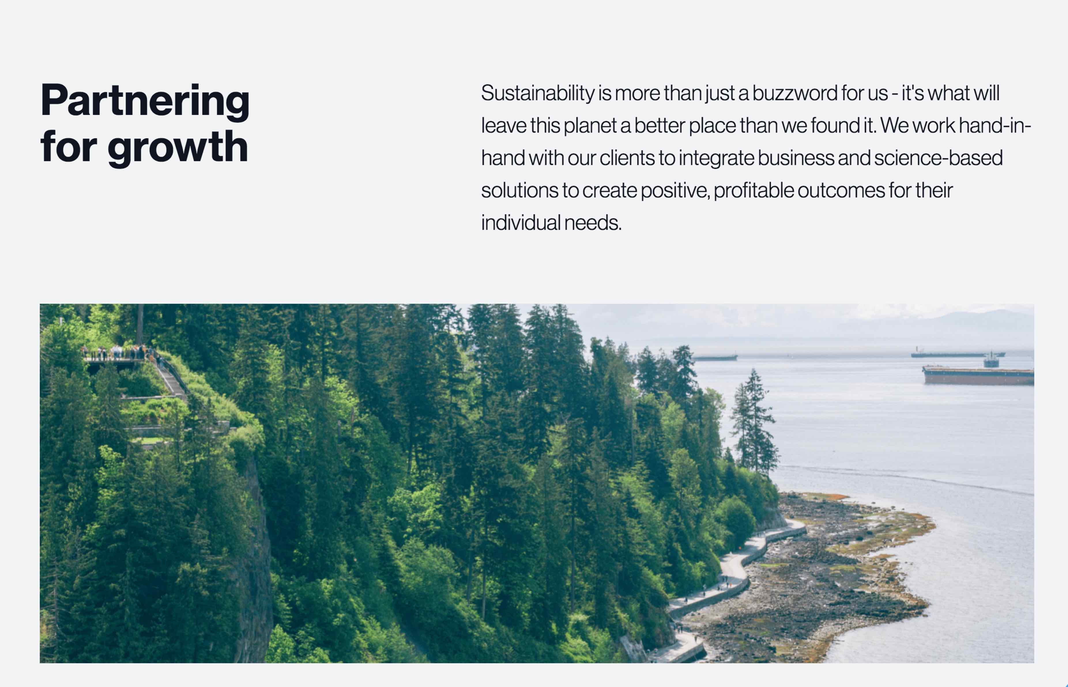 Altanova - White Label Webflow Design & Development