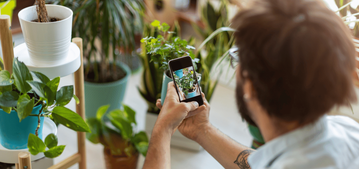 Pflanzenbestimmung per Smartphone: Eine Person fotografiert eine Pflanze für die Identifikation mit einem Neophyten-Checker.