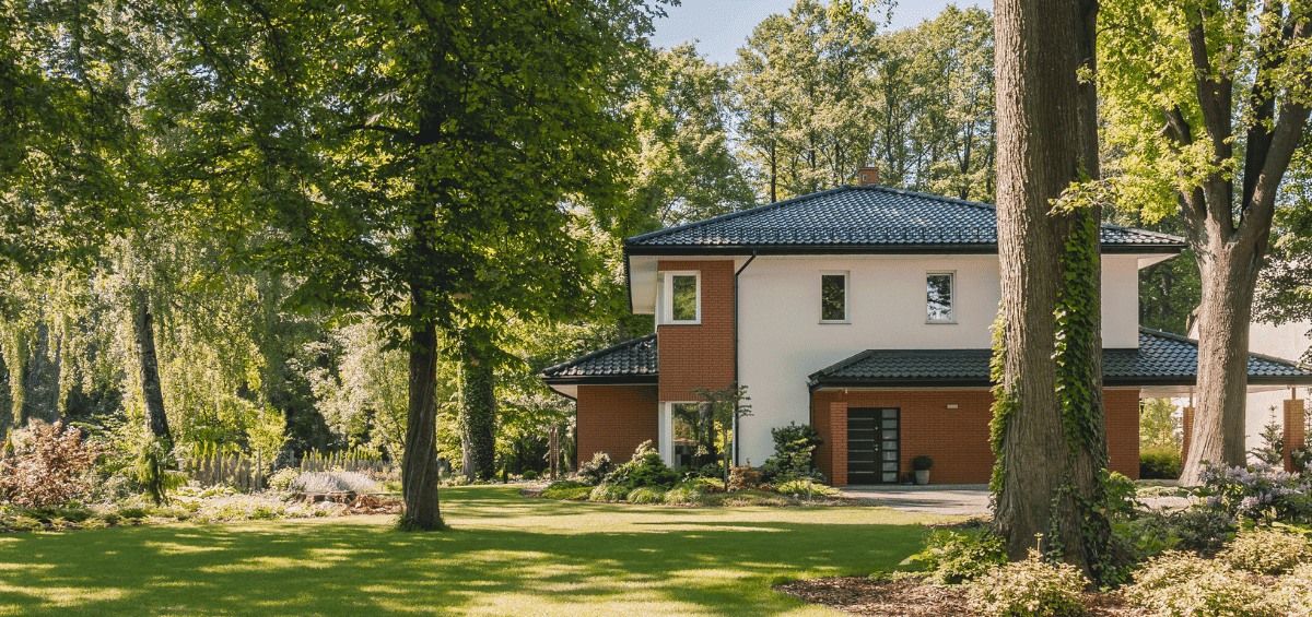 Haus