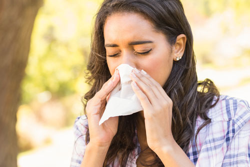 Lady With Allergies Sneezing