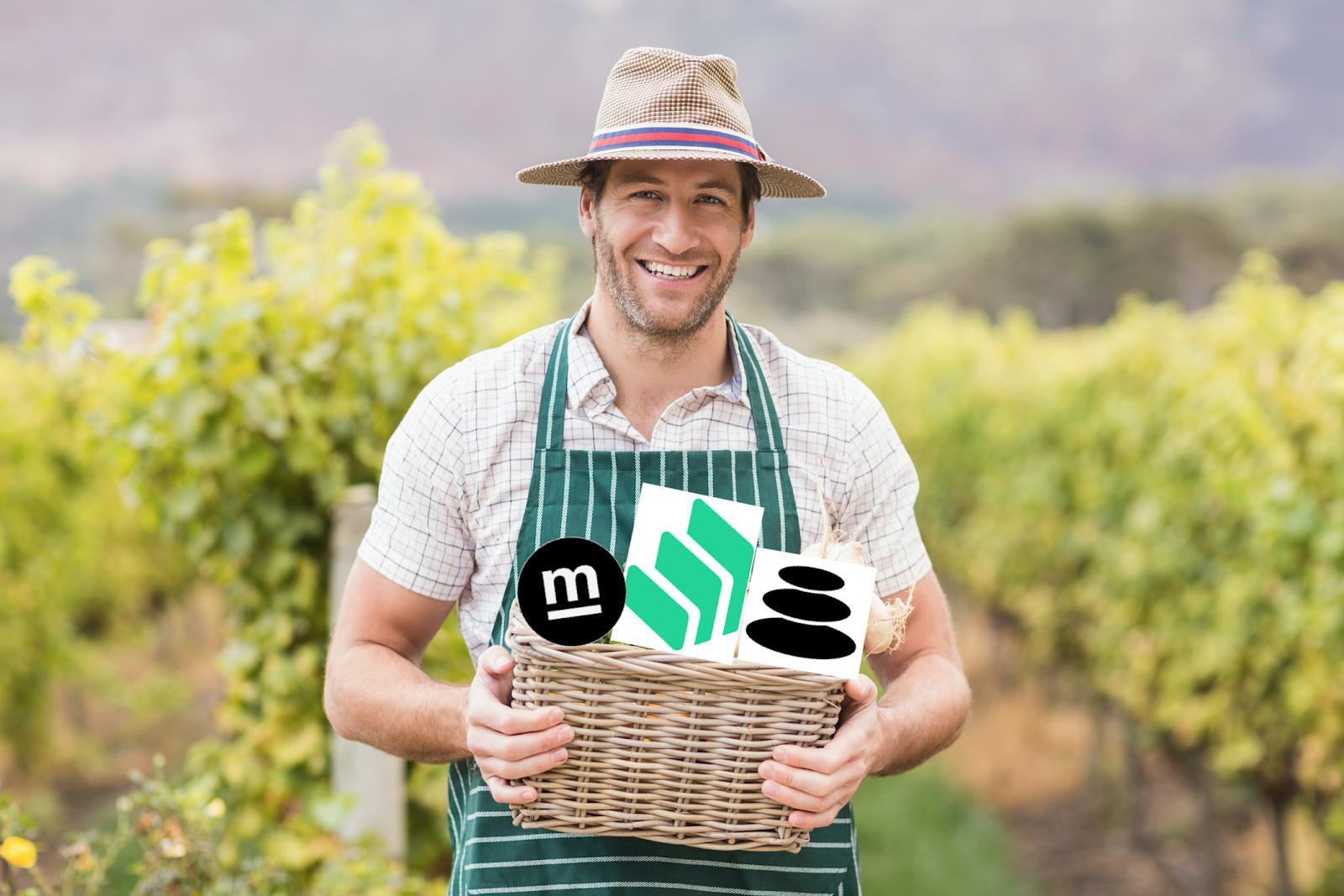 Risks on the Farm - How to Yield Farm Safely