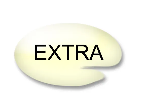 Extra