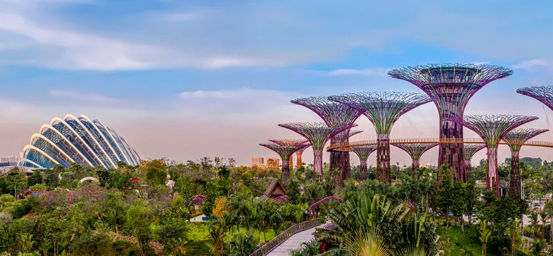 An aerial view of Singapore’s Gardens by the Bay featuring lush greenery, pathways, and the futuristic Supertree structures under a bright, sunny sky