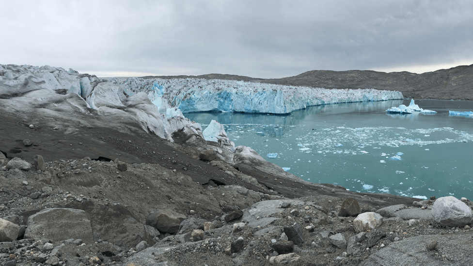 Algae growing on the Sermilik glacier