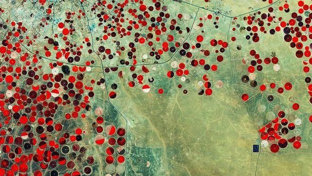 Grace Data Can Show Whether Agriculture Is Using Groundwater In A Sustainable Way