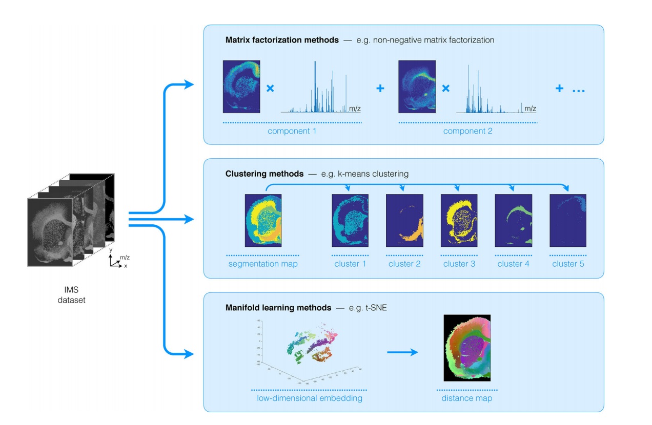 Unsupervised machine learning methods
