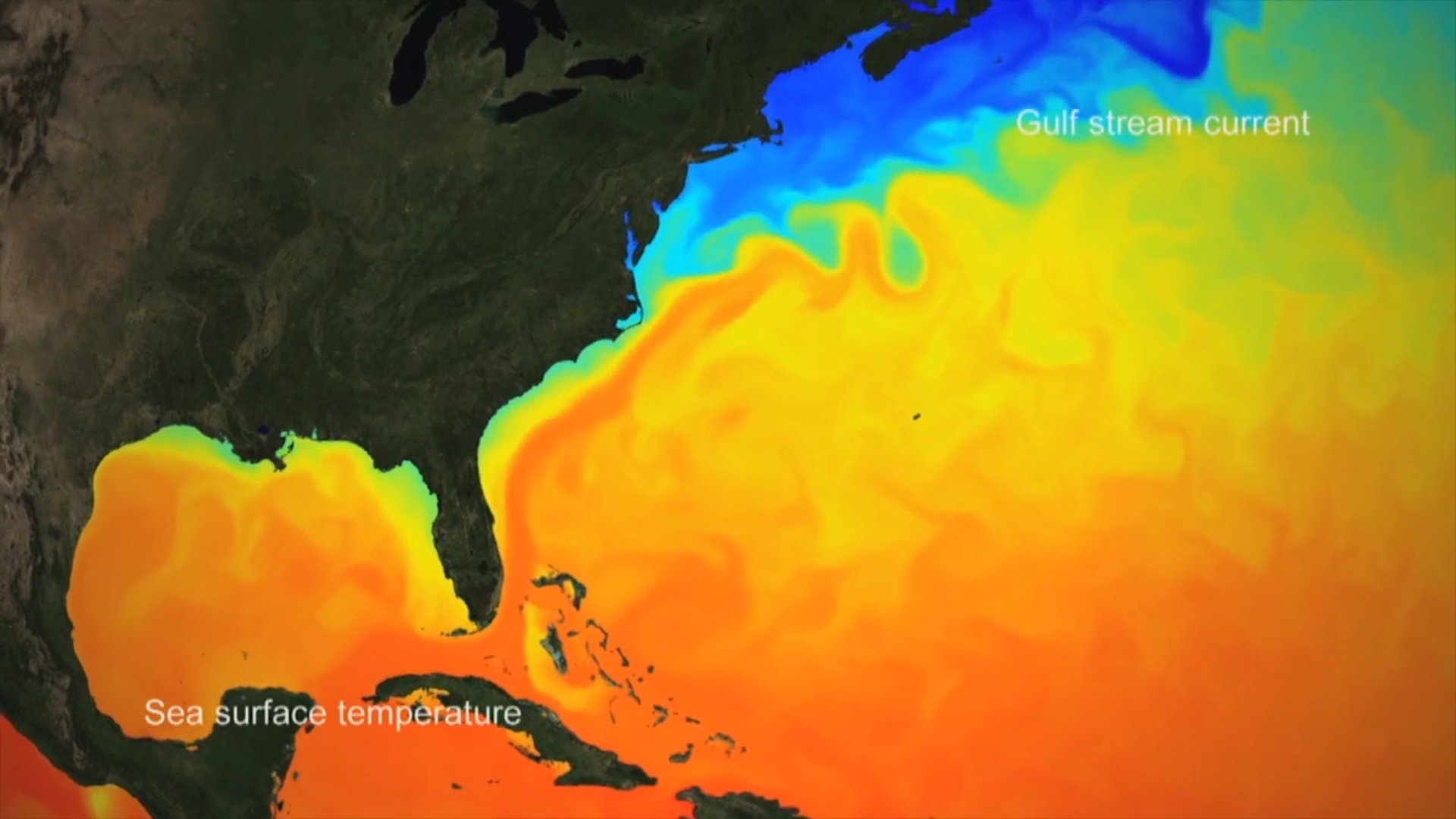 Copernicus Marine Data