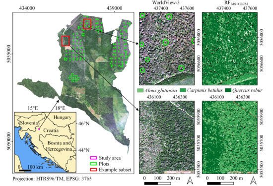 Location of a study area in Croatia used for a tree classification study using remote sensing and ML