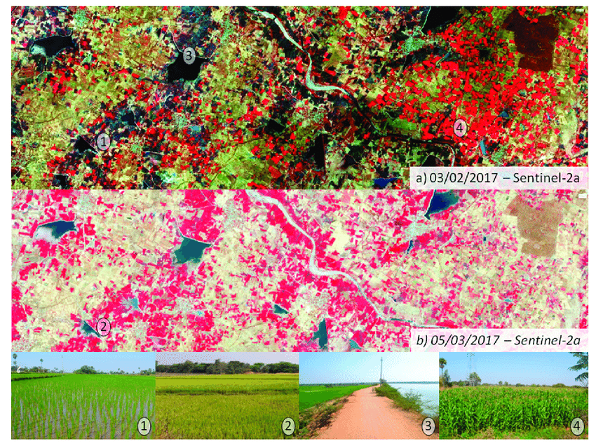 Crop identification using optical Sentinel-2