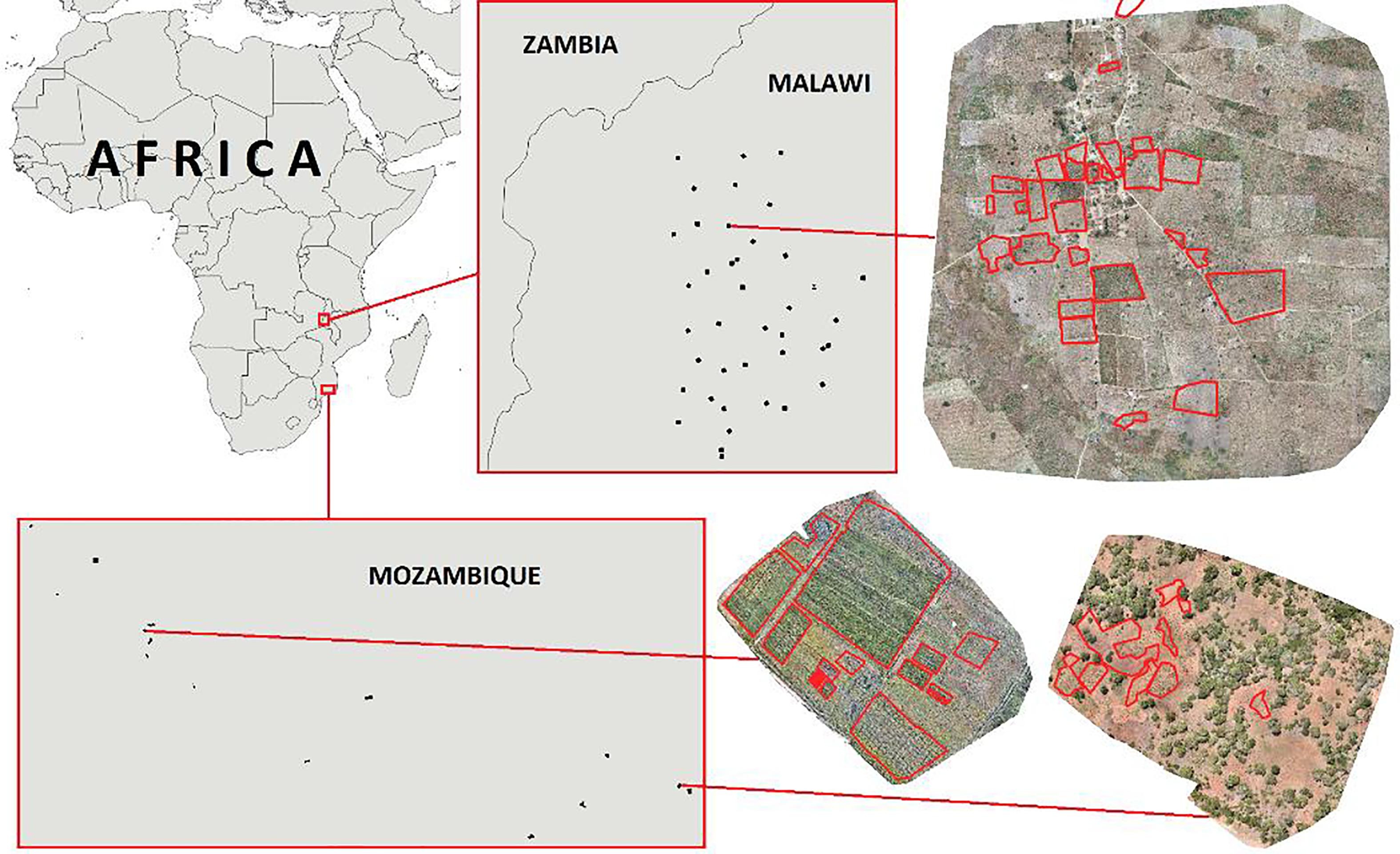 Drone mosaics - Malawi & Mozambique