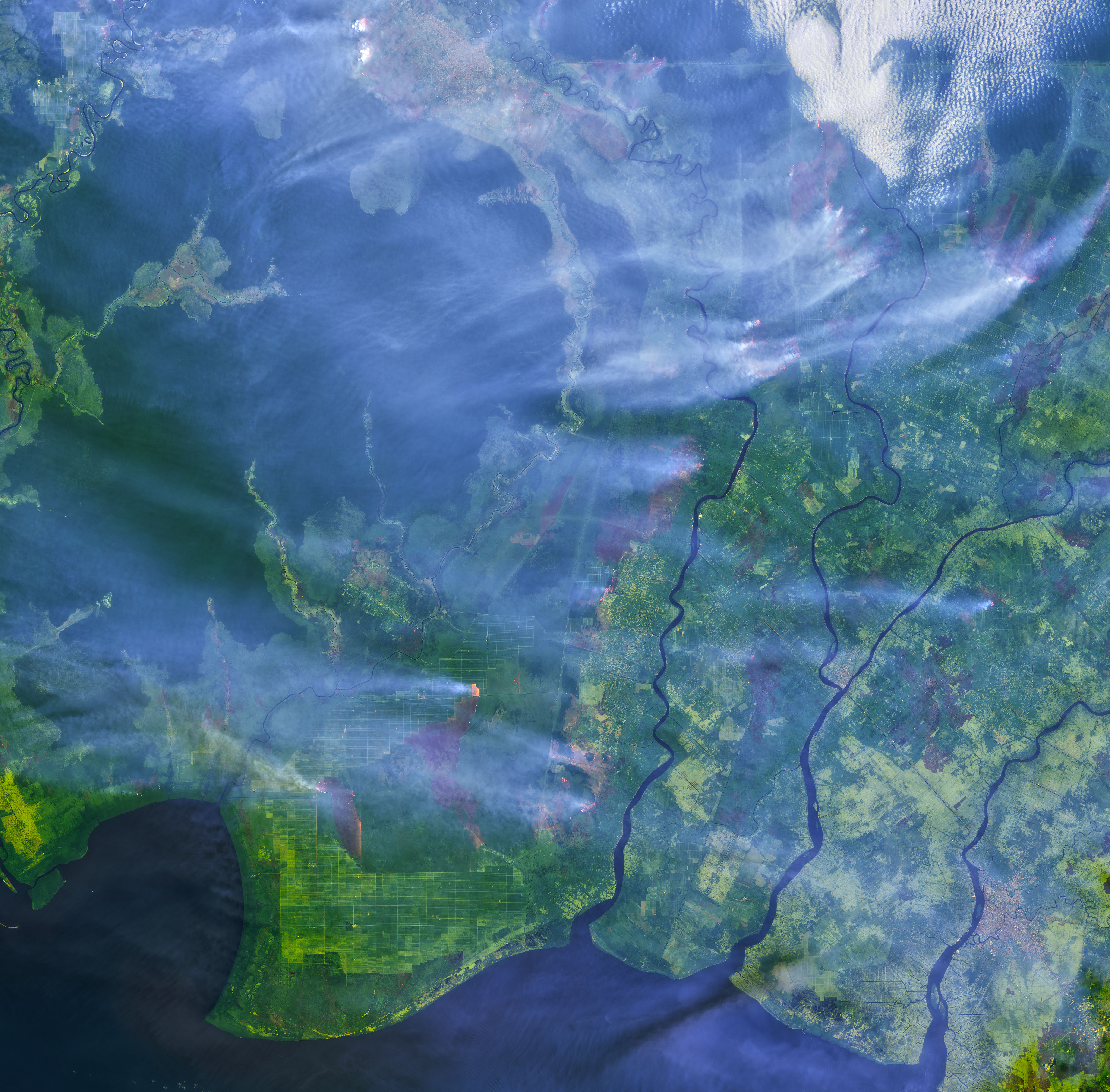 Oil palm fires, Borneo