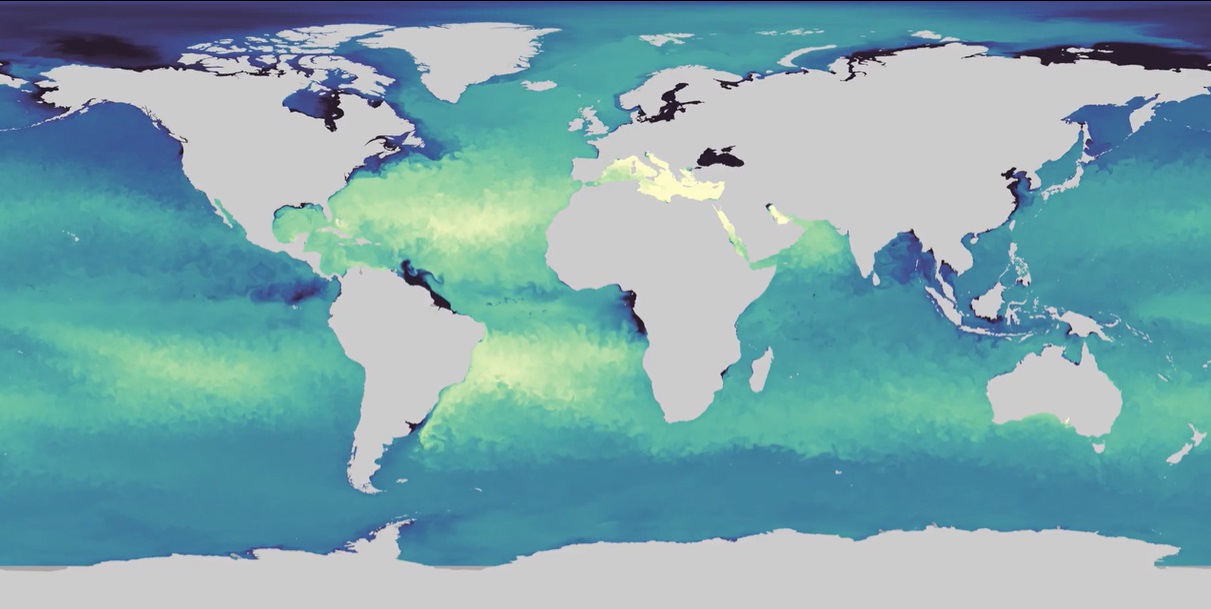 Global Salinity Model