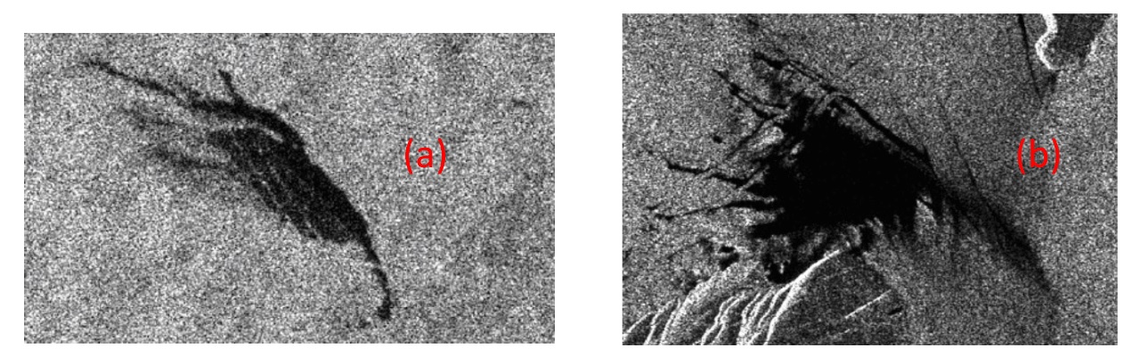 Two examples of dark spots : (a) Verified oil spill on a SAR image taken on 6 September 2005 close to Ancona , Italy . b) Verified look - alike on a SAR image taken on 25 August 2005 close to Otranto, Italy
