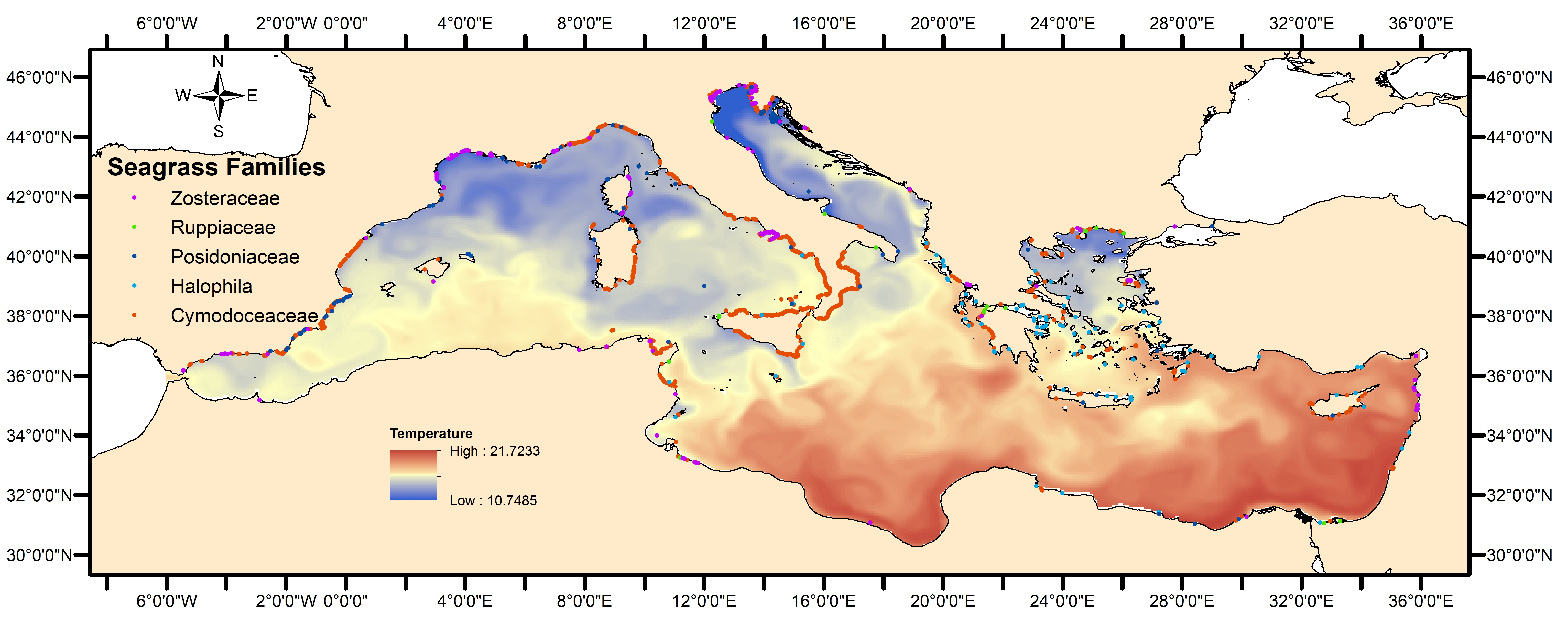 Distribution of seagrass species in the benthic zone of the Mediterranean sea
