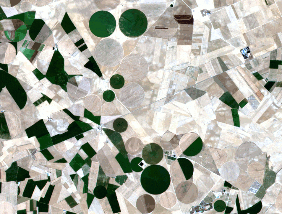 This is a time series of crop fields in Barrax Spain taken by Sentinel-2 showing the natural phenological cycles