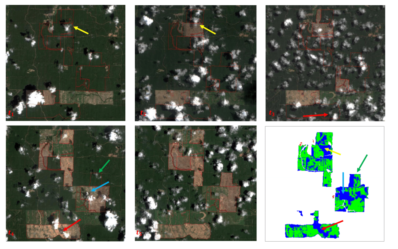 These Sentinel-2 images show a time series of deforestation for an oil palm plantation