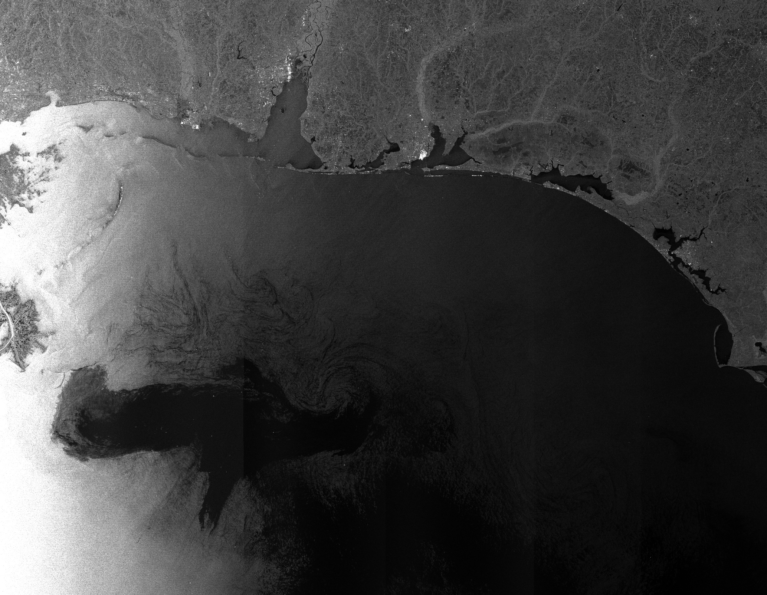 Oil spill in the Gulf of Mexico
