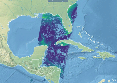 This Ocean Colour product represents the algal pigment (Chlorophyll a) concentration in clear open waters