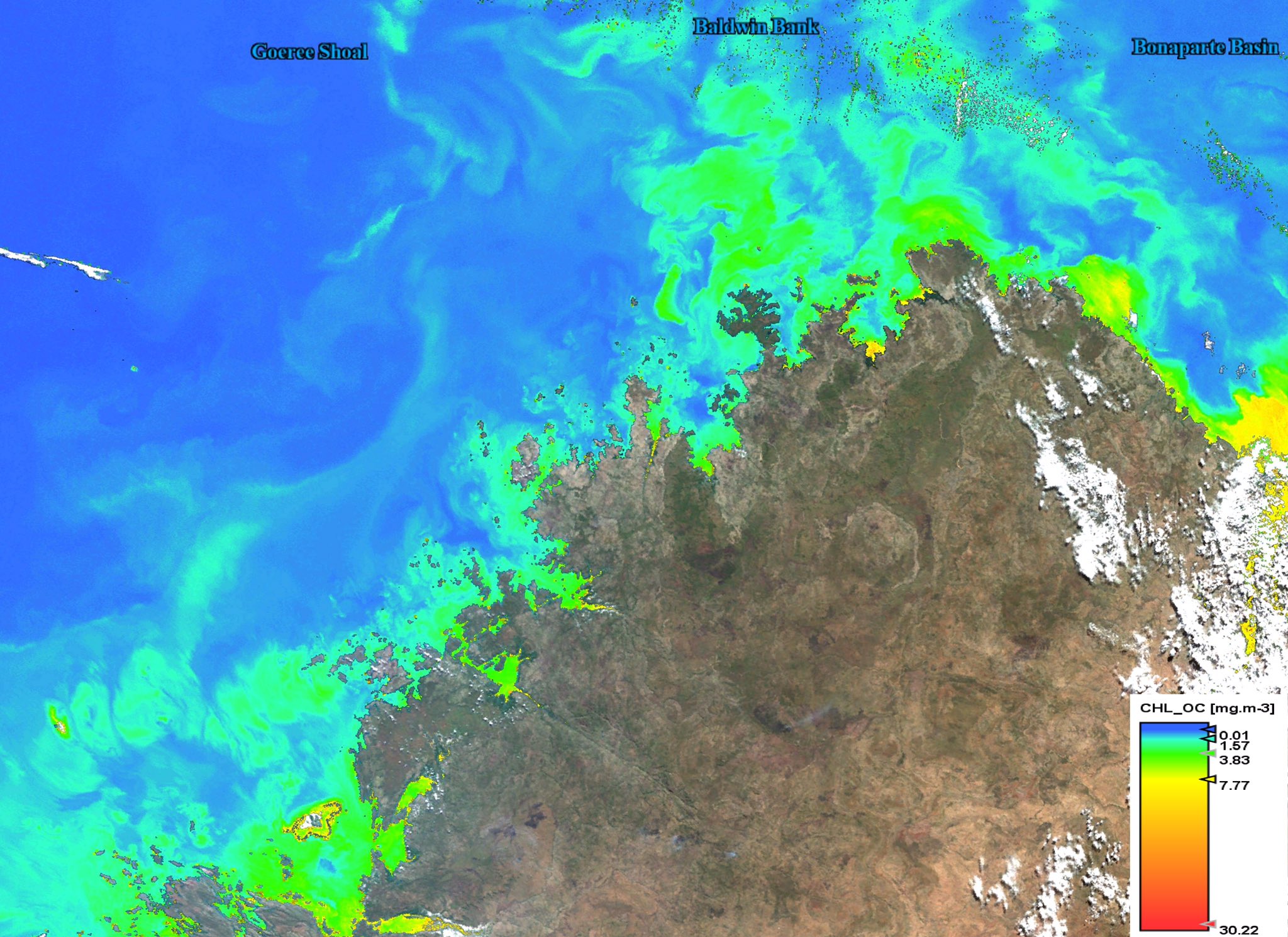 Sentinel3 OLCI Chlorophyll concentration