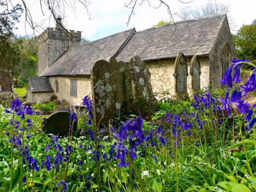 An old church surrounded by blue flowers in a field.