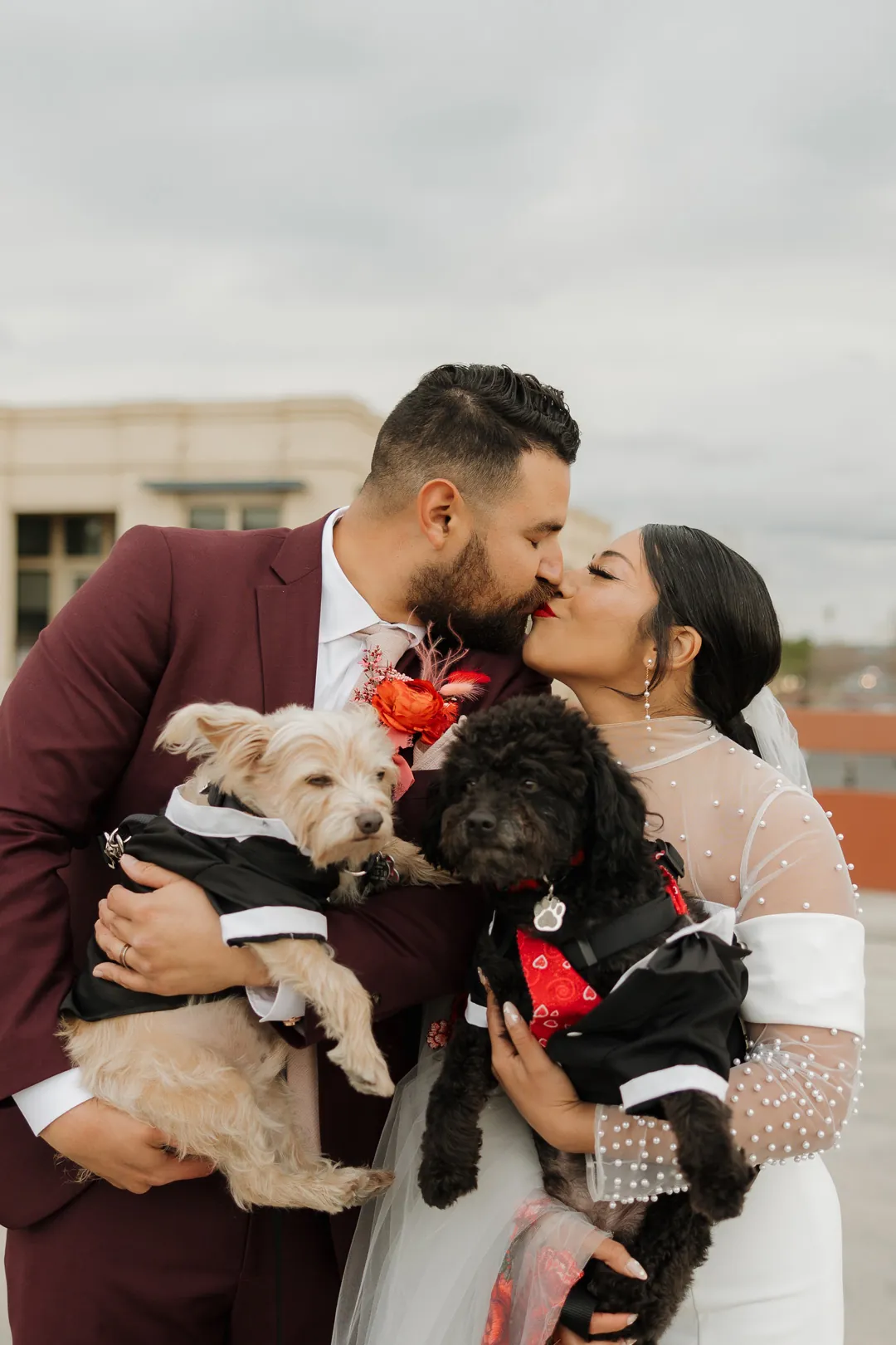 Newlyweds kiss while holding two small dogs.