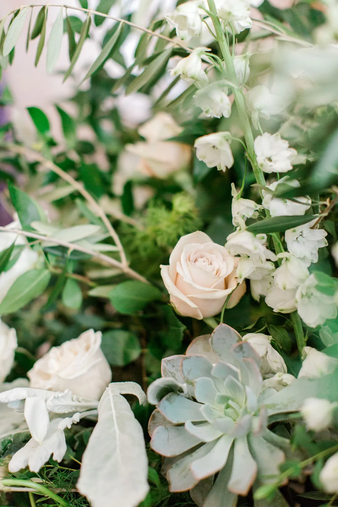 Close view of pale flowers and greenery