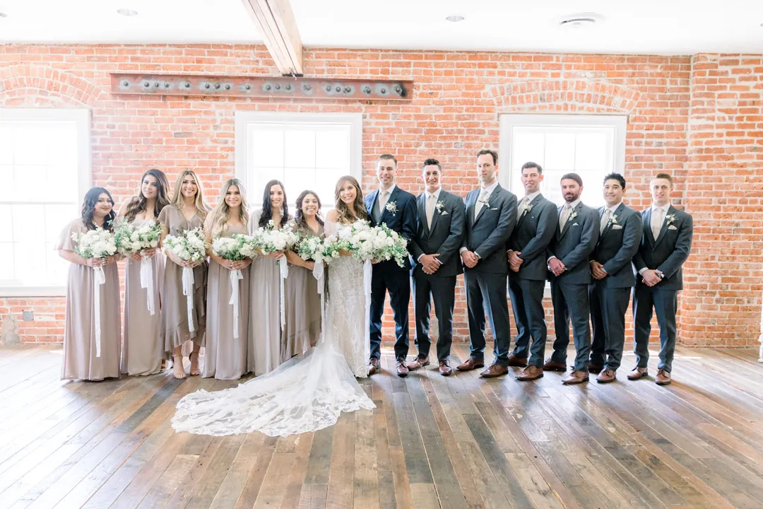 Wedding party lined up together indoors