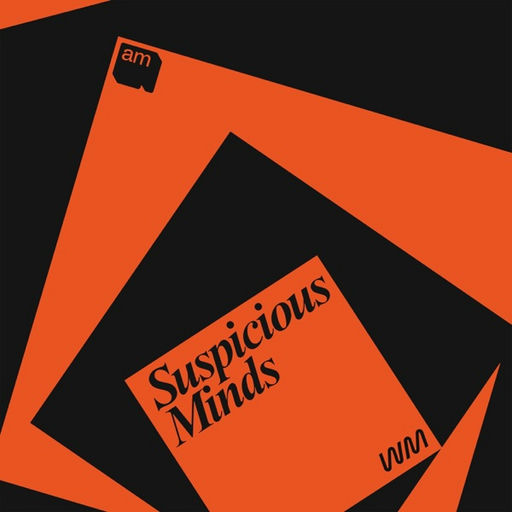 Suspicious Minds: AI and Psychosis