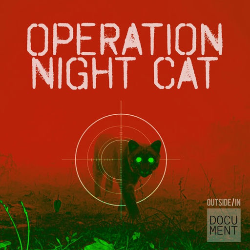Operation Night Cat