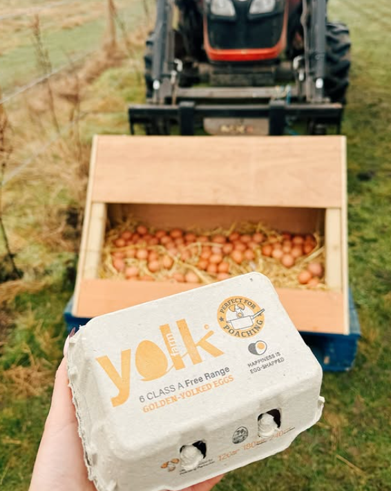School visit at Yolk Farm