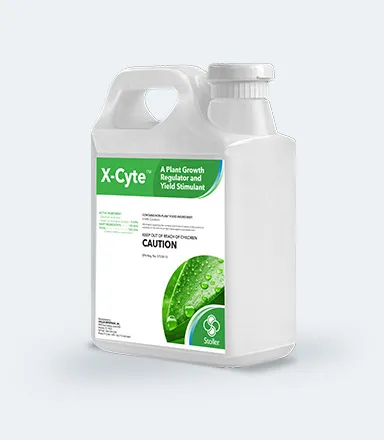 x-cyte bottle
