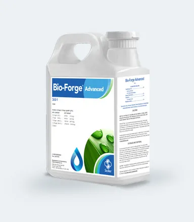 bioforge