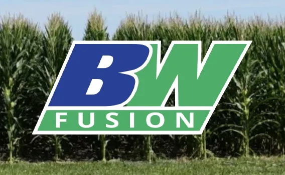 grain boss logo