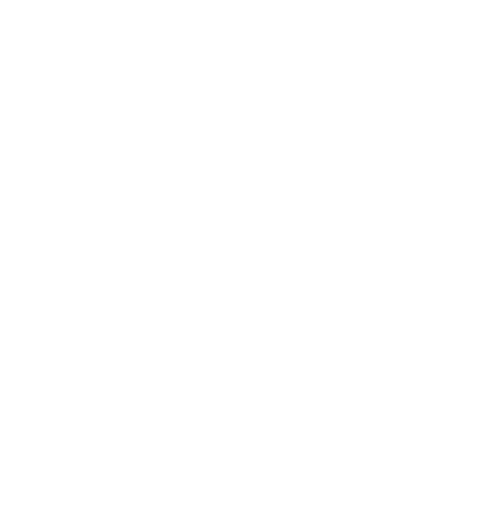 x logo