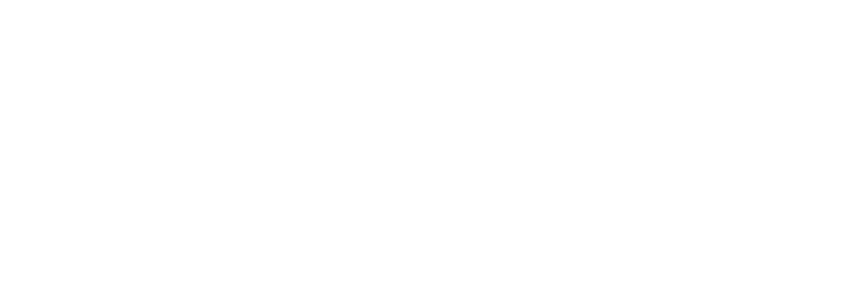 EMII: our theory of change