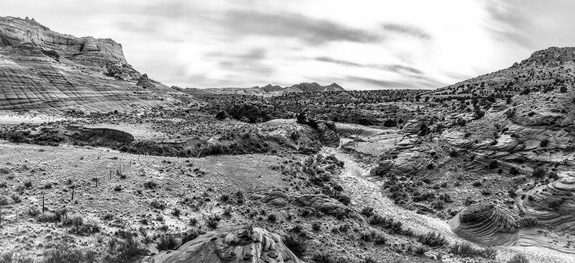 Buckskin Panorama