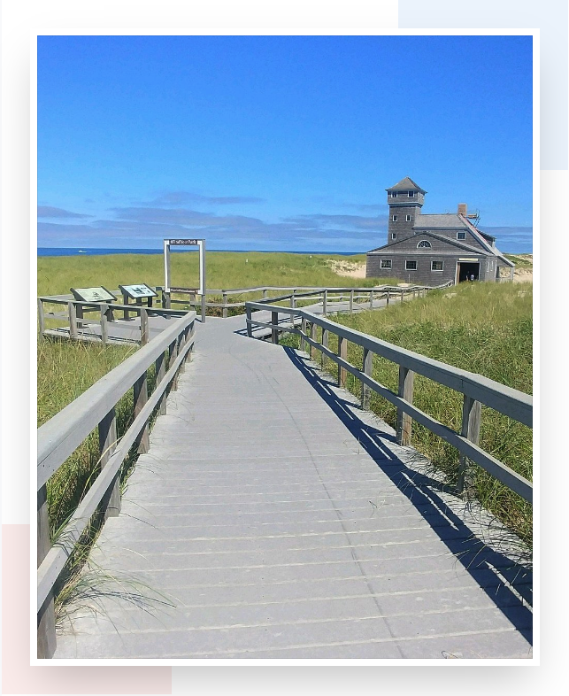 Province Lands trails at Race Point