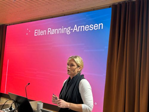 Statssekretær Ellen Rønning-Arnesen
