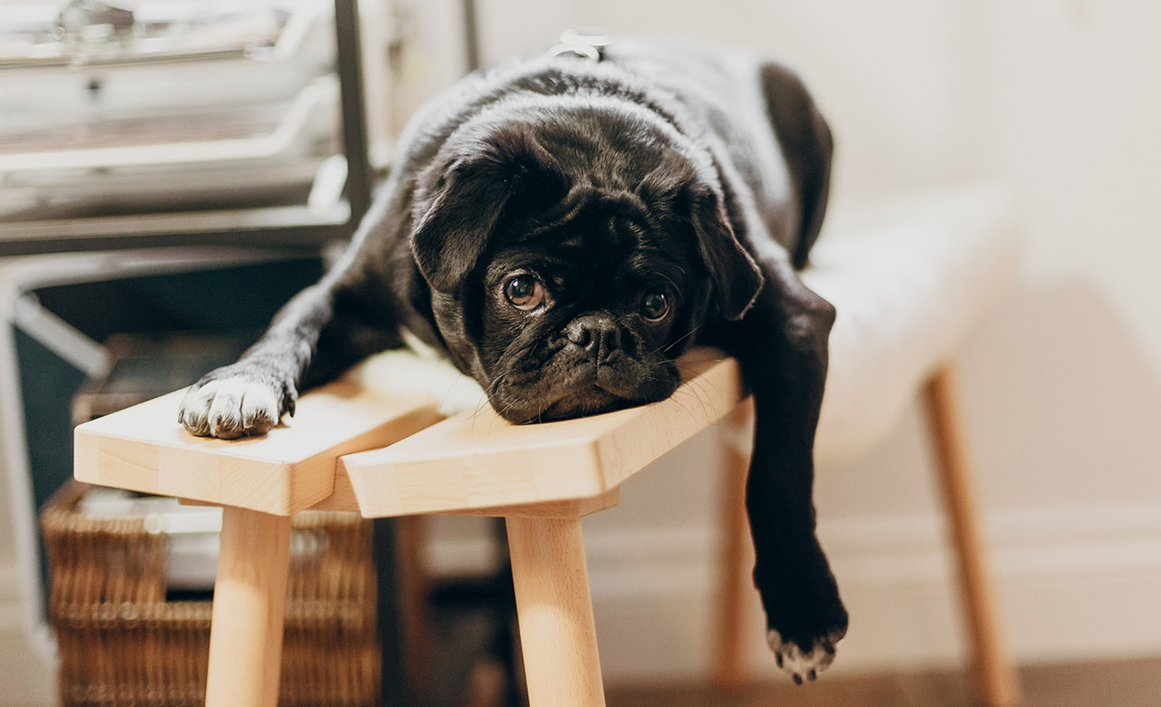 Too much information is never good and is counterproductive. Nevertheless, this is one of the biggest pitfalls that trainers make when they create e-learning. How to prevent this? Read it in this blog